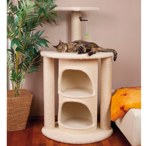 Котопес